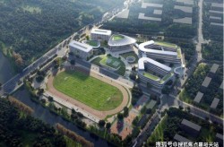 吉祥星愿：A0级纯电墟市的破局者与重构者，电动汽车（最新｜姑苏2024年12月二手房行情解读）