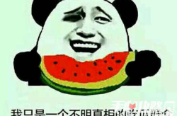 娱乐吃瓜酱聊天梗,吃瓜酱聊天梗背后的故事