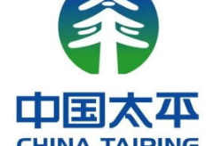 太平保险公司怎么样,稳健发展，守护您的安心之选