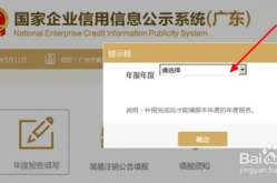 公司营业执照年检流程,流程详解与注意事项