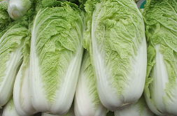 北京大白菜价格,从高峰到低谷的年度回顾”