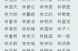 宝宝姓名评分,揭秘名字背后的文化内涵与运势影响