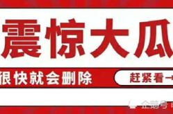 吃瓜娱乐视频网站大全,全网热门吃瓜娱乐视频网站大盘点