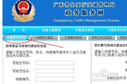 广东省交通违章查询系统,广东省交通违章查询系统全面解析