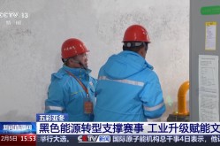 衡宇质料题目买房人应戒备的危急及补偿央求-2024年采纳市纪委监委审考察察的市管干部（天津篇）-专业本事职员资历考察中哪些动作属于违纪违规动作？-春节年俗详解：探秘团聚饺子的由来与文明