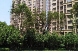 橡树湾二期,品质生活新篇章，繁华配套尽享宜居之地”