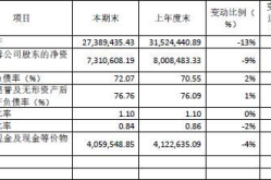 净资产,医院净资产构成与管理解析