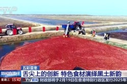 2024年度个税汇算即将动手，工商户审定征收战略解析：天津个人户2024年免税额度与部分所得税谋划（5年4月2日资讯），深圳税收十件大事——缮写高质料鼓动中国式新颖化税务履行深圳新篇章