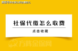 代缴社保的公司一般怎么收费的,服务费与社保费用双重考量