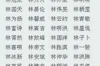 免费姓名评分,免费姓名评分带你探索名字背后的文化力量