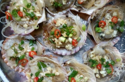 蒜蓉扇贝的制作方法,蒜蓉粉丝蒸扇贝的制作秘诀