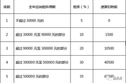 最新个人所得税税率表2024,税率调整与税收优惠一览