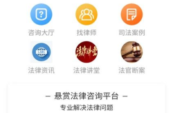 在线法律咨询平台,在线平台的崛起与影响