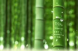 电脑桌面壁纸高清非主流,高清电脑桌面壁纸精选集